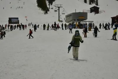 DSC_6675 (Large).JPG